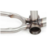 BSD ALVX AF BMX Frame raw