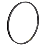 Sun Rhyno Lite XL 29" Rim black chrome Big BMX Bikelife Rims